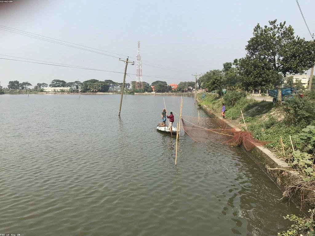 វិធីសាស្រ្តបាញ់ត្រីសម្រាប់អ្នកមានបទពិសោធន៍