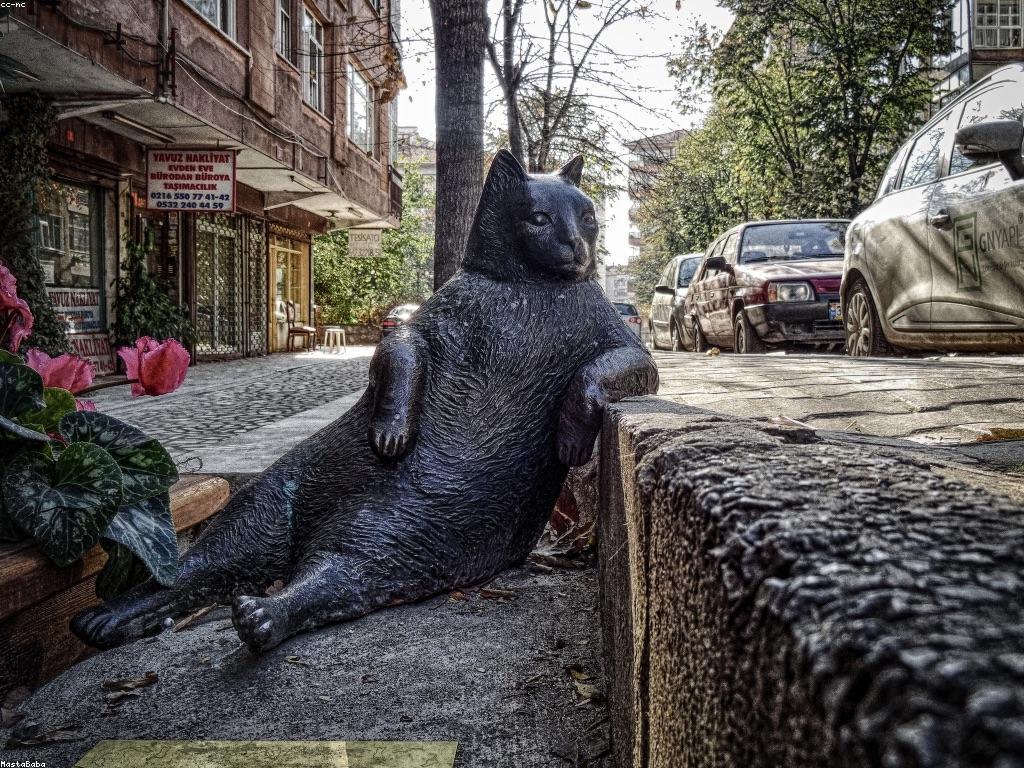 វិធីសាស្រ្តបាញ់ត្រីសម្រាប់អ្នកចាប់ផ្តើម