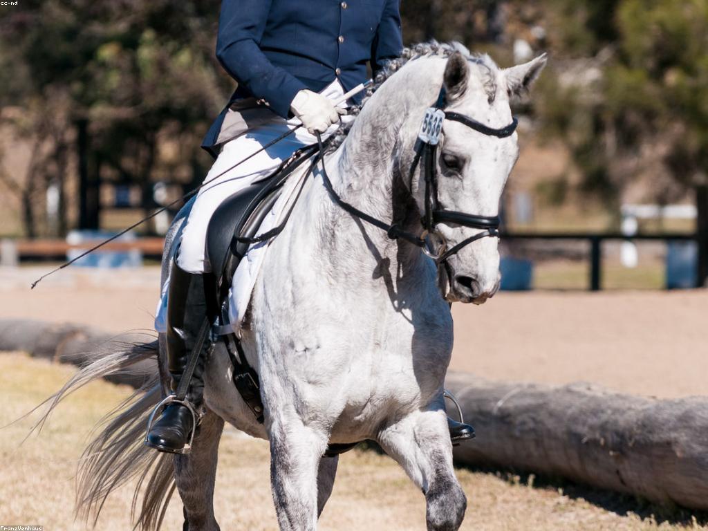 សមត្ថភាពកីឡាករ: ការបង្កើត និងការផ្សព្វផ្សាយ