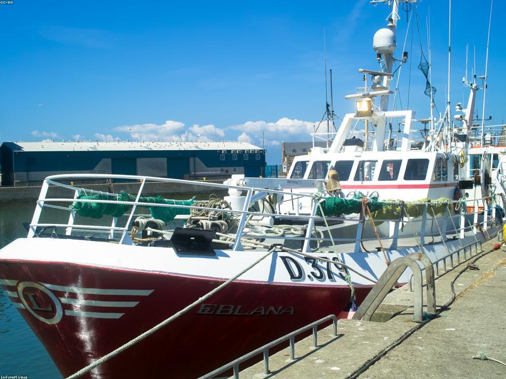 យុទ្ធសាស្ត្រសម្រាប់ការប្រកួតបាញ់ត្រី