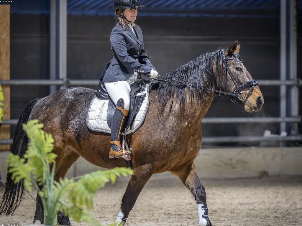 ការអភិវឌ្ឍសមត្ថភាពកីឡាករ