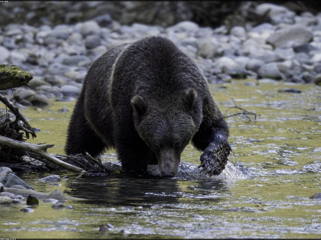 វិធីសាស្រ្តបាញ់ត្រីកម្រិតខ្ពស់សម្រាប់អ្នកស្រឡាញ់ធម្មជាតិ